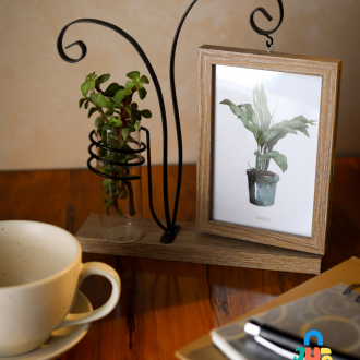 Money Plant Photo Frame
