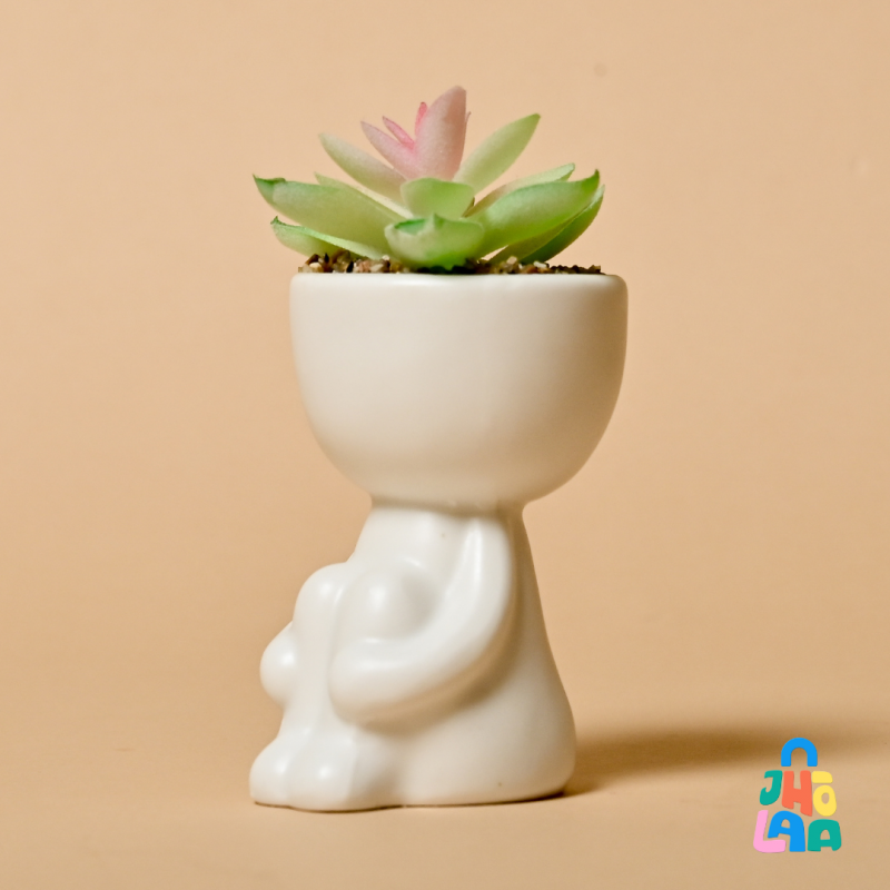 Minimal Table Plant - Image 4