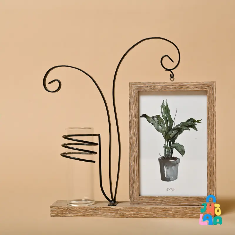 Money Plant Photo Frame - Image 2