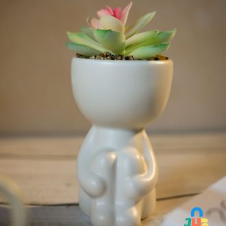 Minimal Table Plant