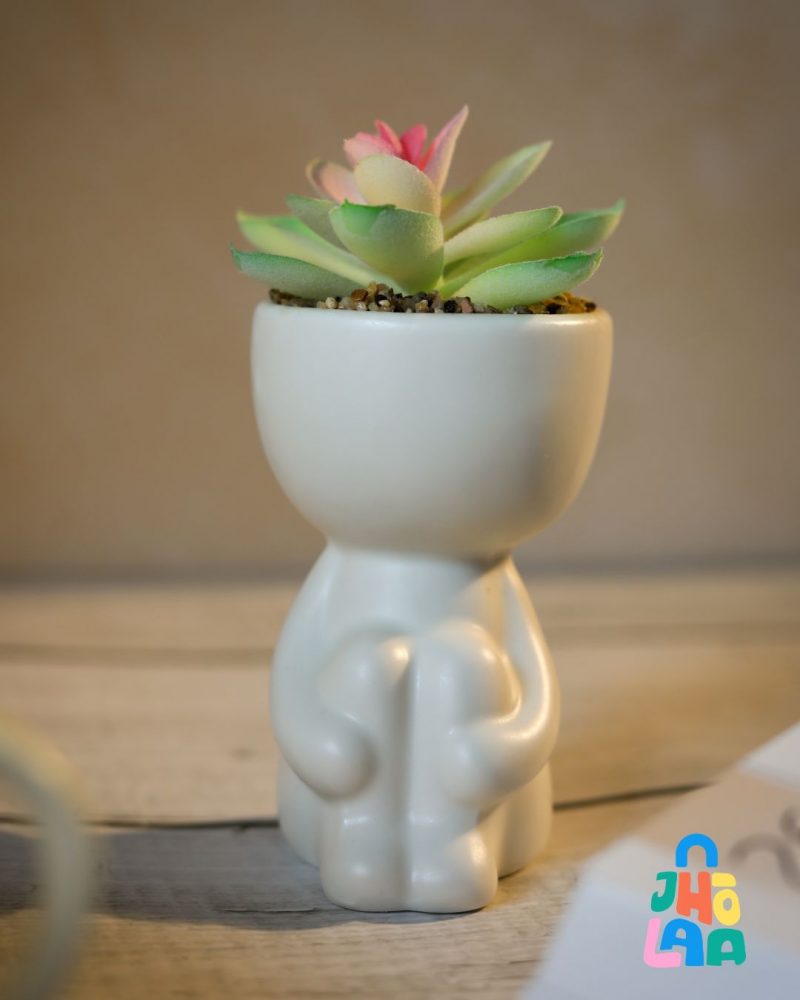 Minimal Table Plant